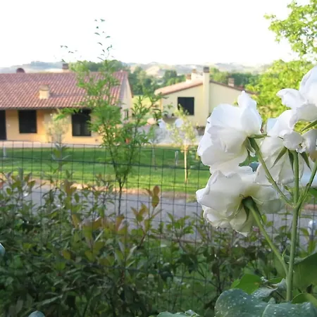 Lo Strettoio Mit Gemeinschaftspool Apartment Gambassi Terme